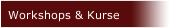 Workshops & Kurse